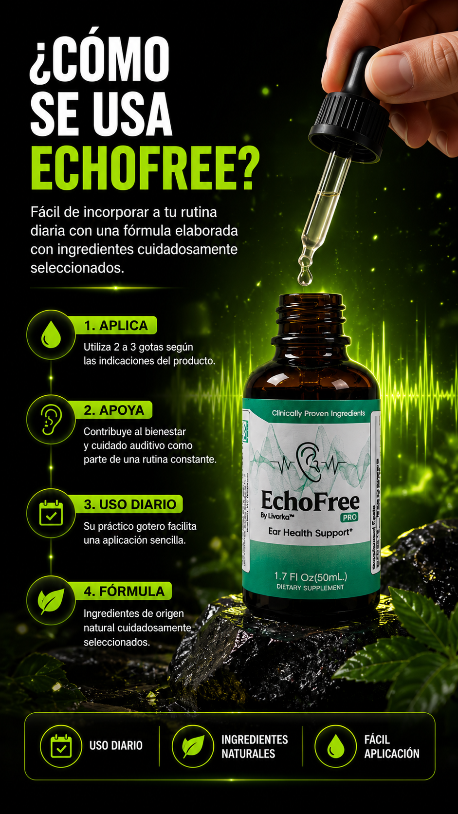 EchoFree® | Apoyo Profesional para tu Bienestar Auditivo
