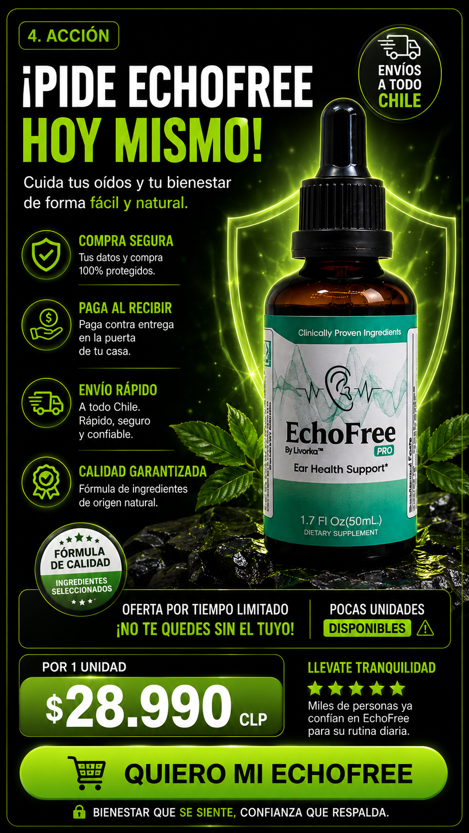 EchoFree® | Apoyo Profesional para tu Bienestar Auditivo