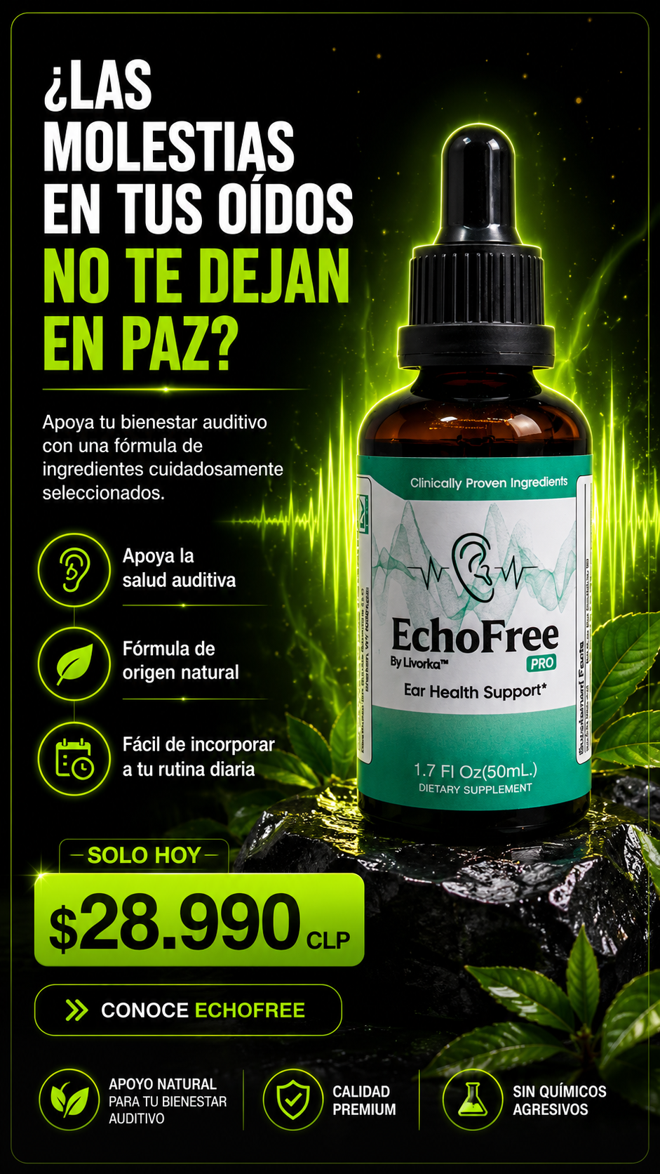 EchoFree® | Apoyo Profesional para tu Bienestar Auditivo