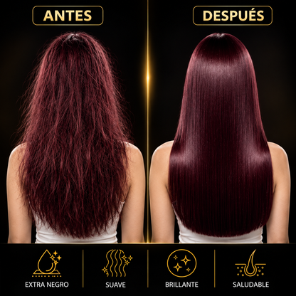 Shampoo Cubre Canas Instantáneo DISSAR®